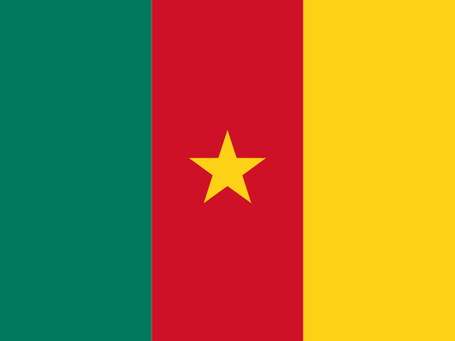 Cameroon flag