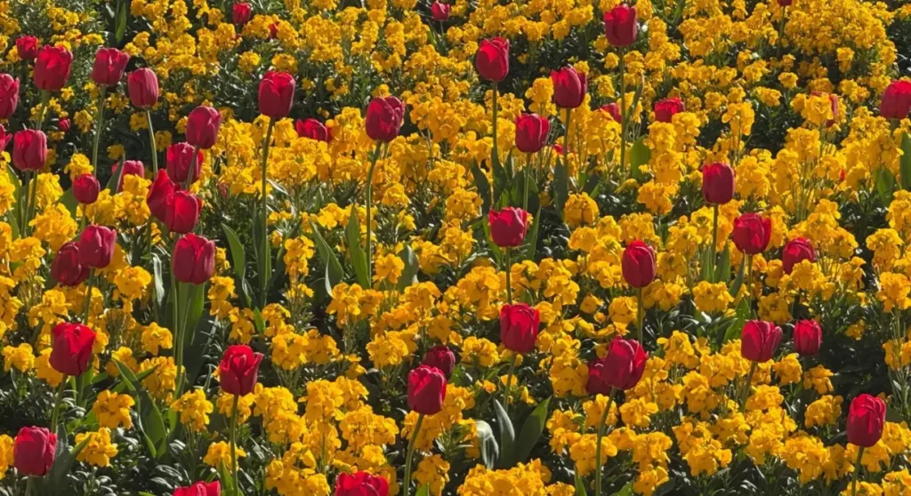 Knowledge Bank images 2025 32